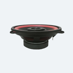 тюльпаны (42)