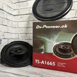DV-Pioneer.ok TS-A1665 Акустика 16см