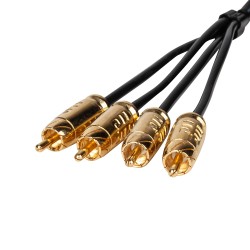 Headshot RCA-44-5-SS Headshot RCA-44-5-SS