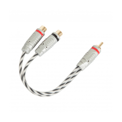 MRCA02Y 2мамы, 1 папа