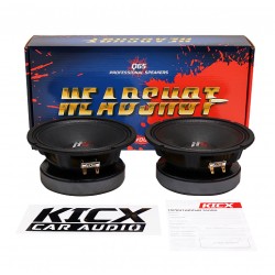 Headshot Q65 Headshot Q65